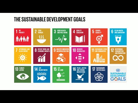 17 global goals